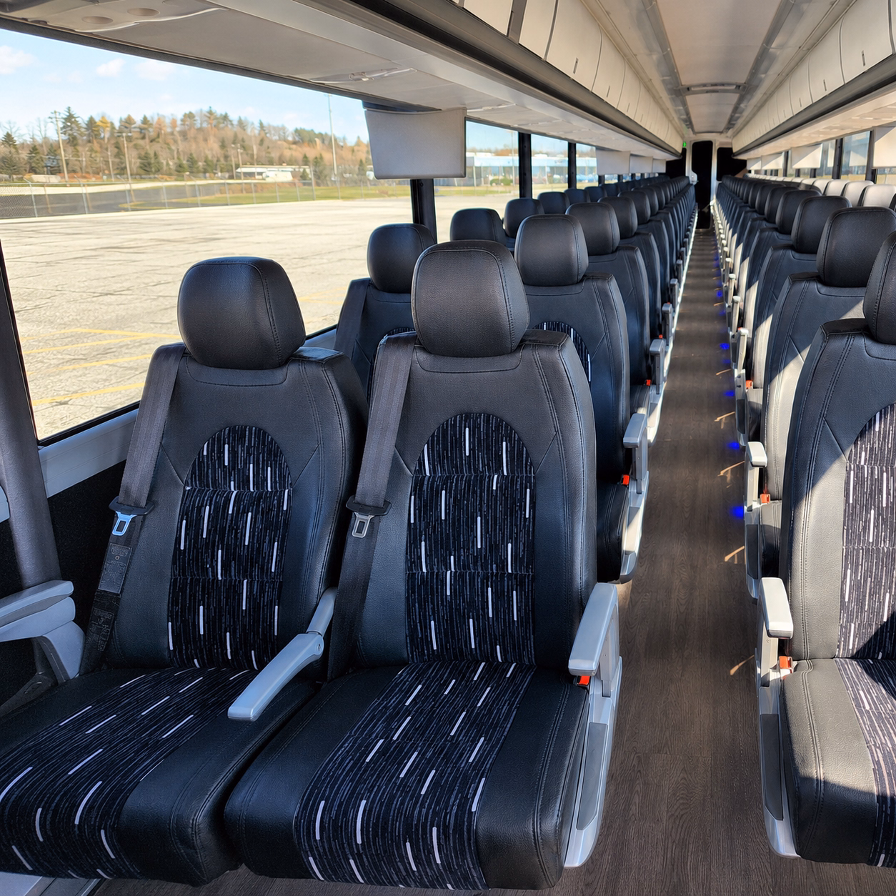 compare buses in minutes not days
